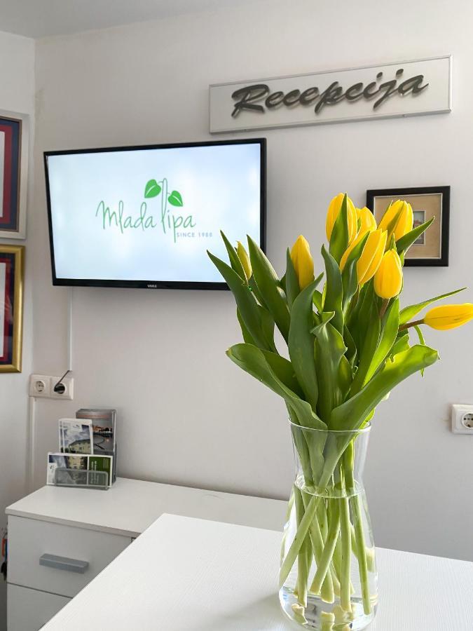 Guest House Mlada Lipa Maribor Bagian luar foto